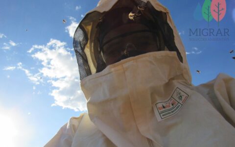 MONITORAMENTO COM USO DE MACACÃO DE APICULTOR